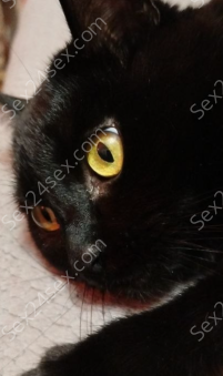 Фея